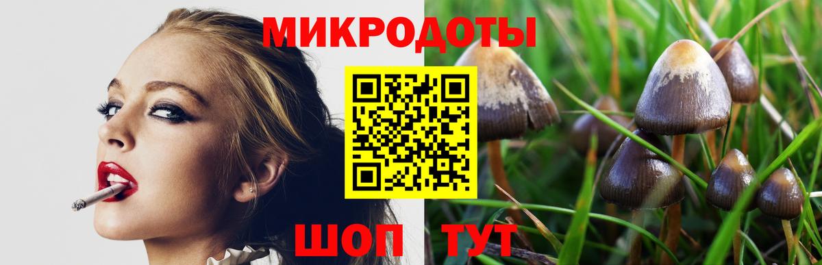 Рязань  Галлюциногенные грибы мухоморы  Вход с VPN 